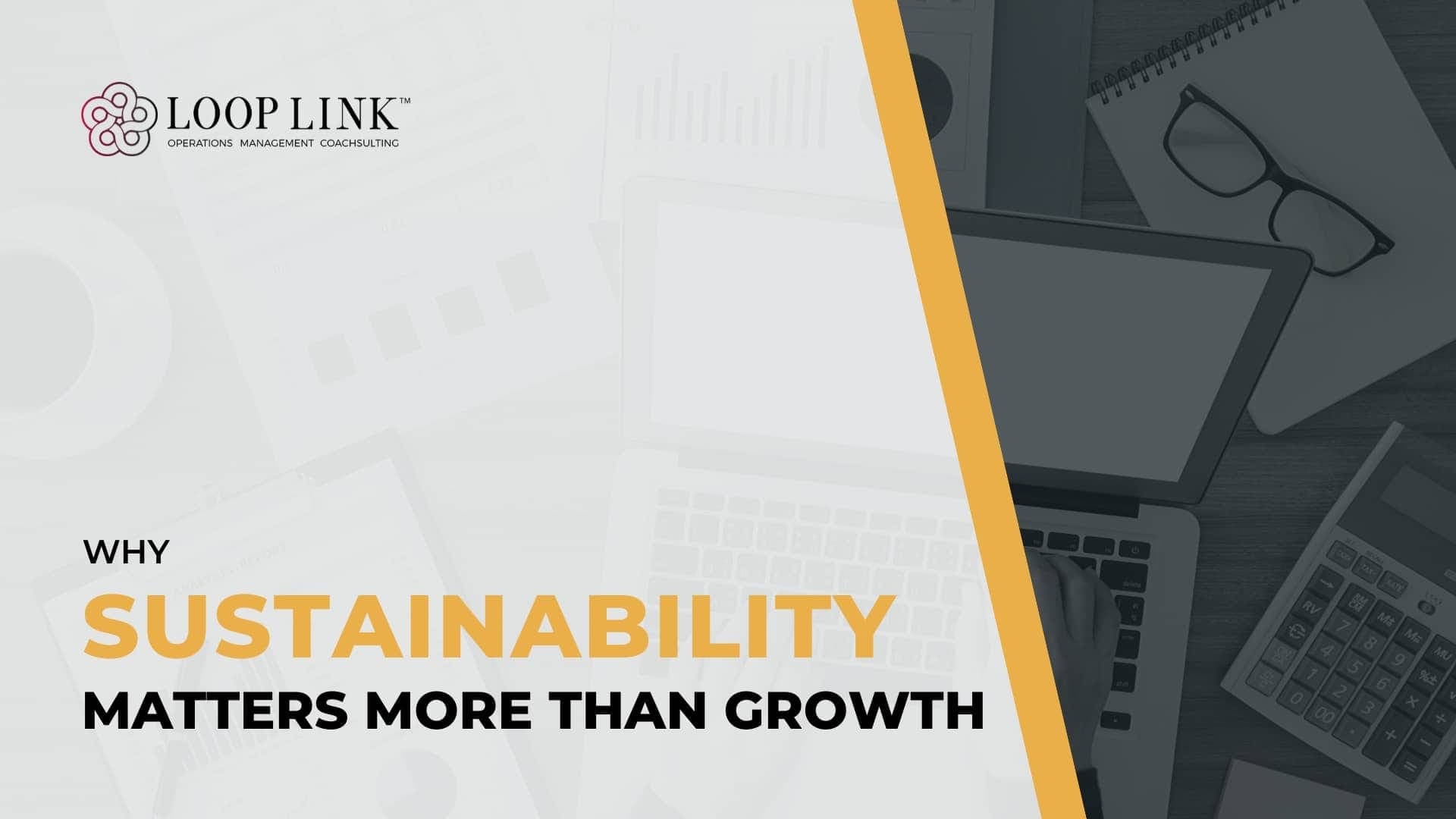 Why Sustainability Matters More Than Growth